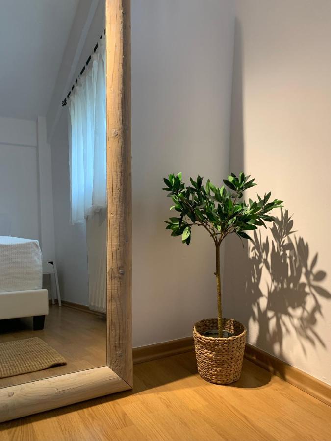 Casa Brucie - New Stylish Apartment In Corfu! Kanálion Esterno foto